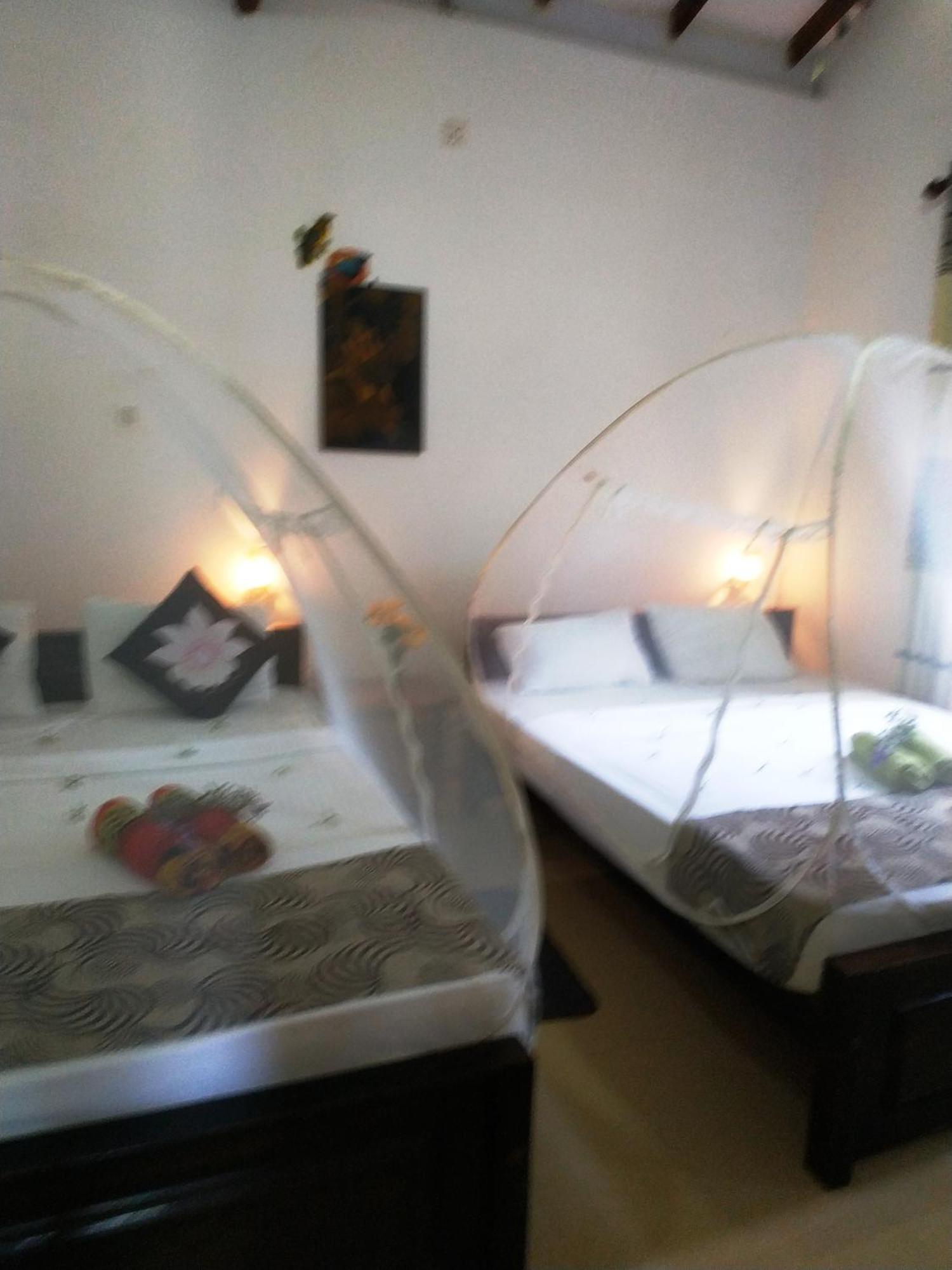 Greenwood Udawalawa Safari Resort Uda Walawe Extérieur photo