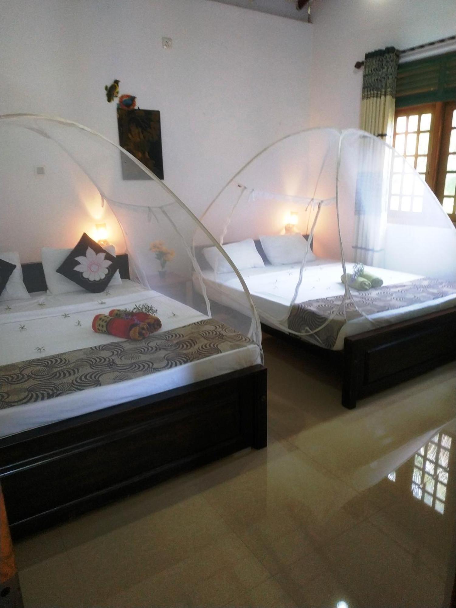 Greenwood Udawalawa Safari Resort Uda Walawe Extérieur photo