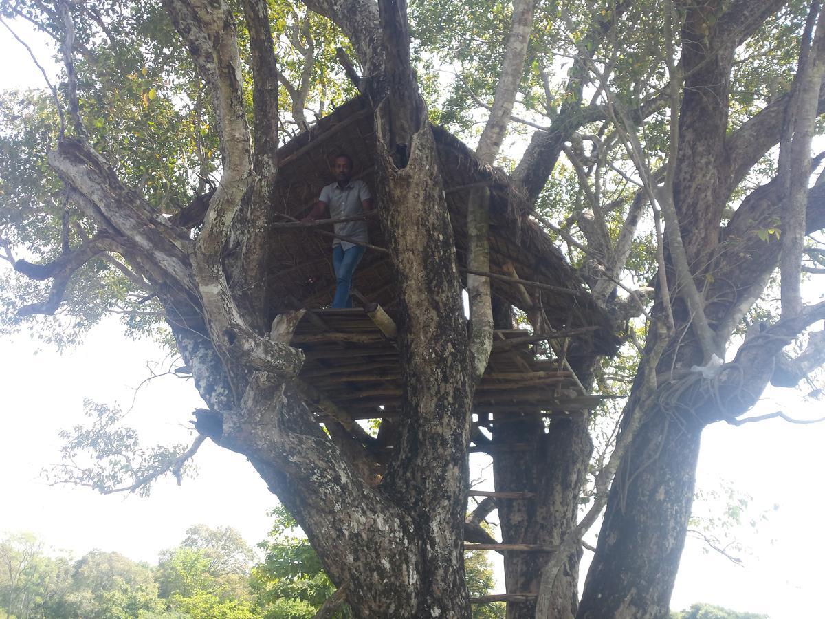 Greenwood Udawalawa Safari Resort Uda Walawe Extérieur photo