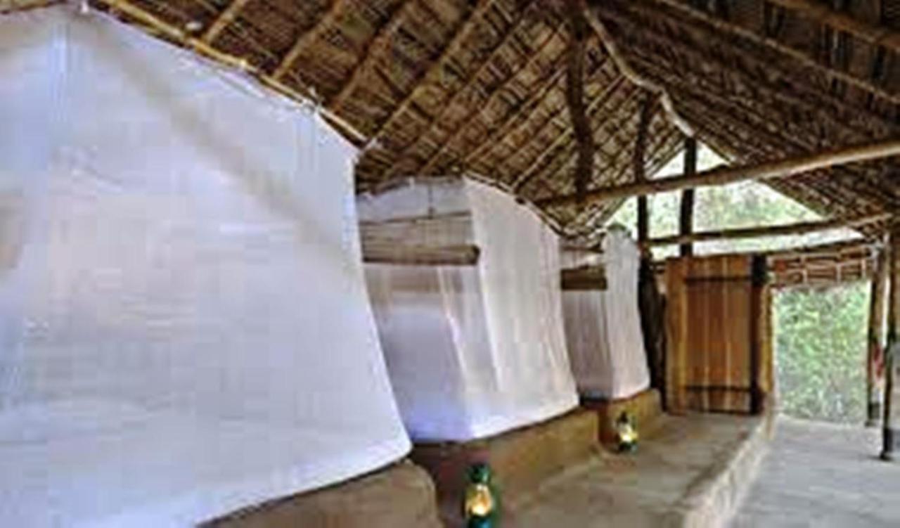 Greenwood Udawalawa Safari Resort Uda Walawe Extérieur photo