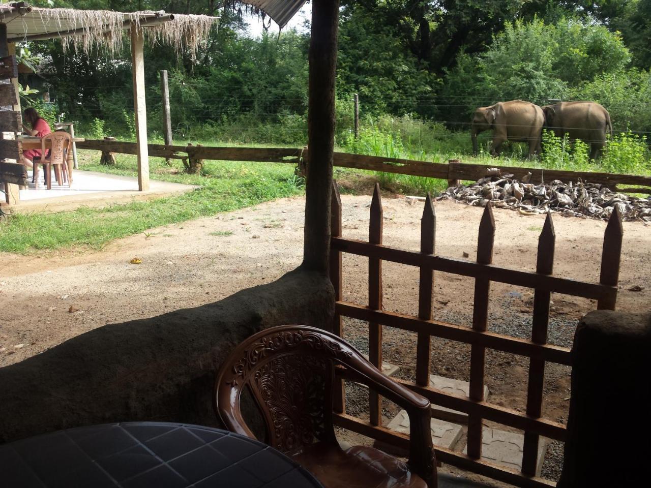 Greenwood Udawalawa Safari Resort Uda Walawe Extérieur photo