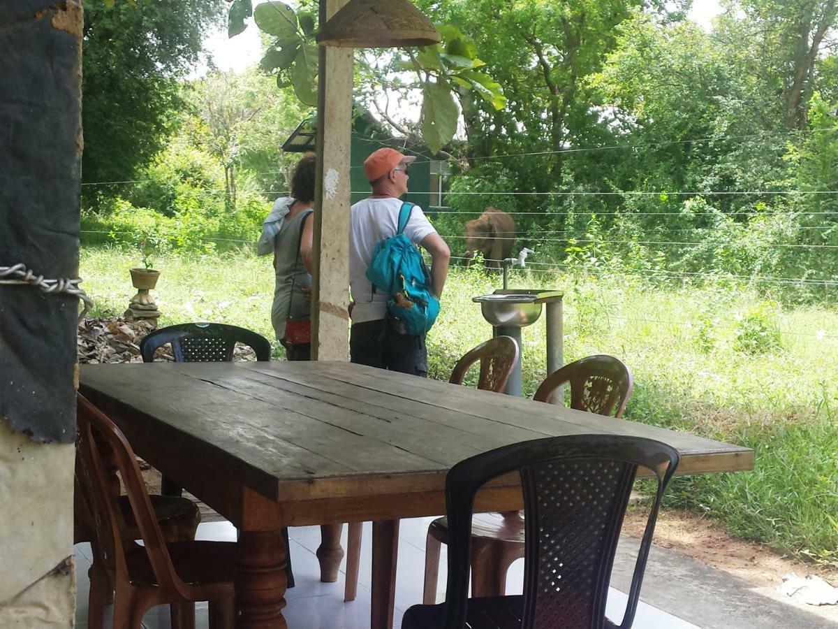 Greenwood Udawalawa Safari Resort Uda Walawe Extérieur photo