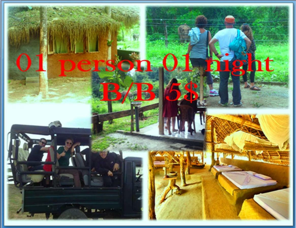 Greenwood Udawalawa Safari Resort Uda Walawe Extérieur photo
